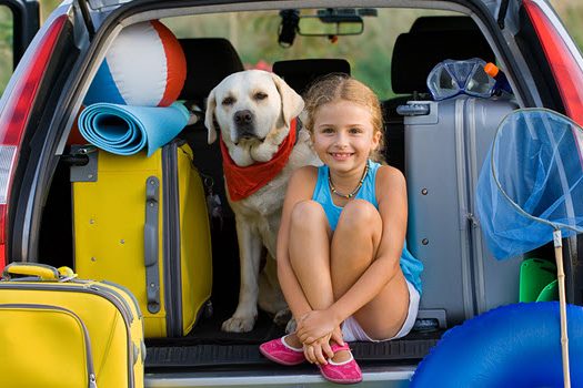 A girl and a Labrador retriever sit in the back of a car surrounded by suitcases, a beach ball, and fishing net.